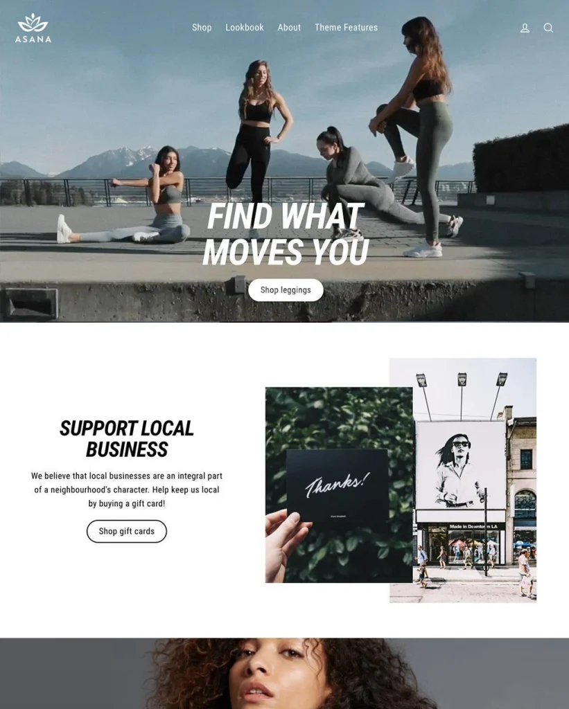 Streamline Shopify theme