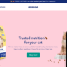 Minion Shopify Theme